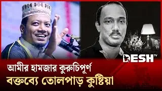 আমির হামজার পুরনো ভিডিও ভাইরাল, তোলপাড় কুষ্টিয়ার রাজনৈতিক অঙ্গন | Mufti Amir Hamza | Desh TV