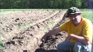 Gardening By The Foot - Vegetables