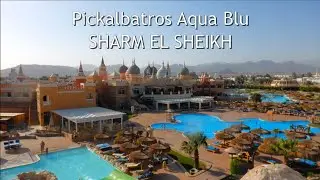 Picalbatros Aqua Blu Hotel | Tak samkuje życie... | Sharm el Sheikh | Egipt