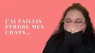 STORYTIME : Mes chats ont bien faillit y rester ...