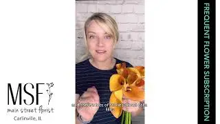 October 2025 Frequent Flower Subscription