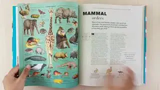 DK Knowledge A Visual Compendium