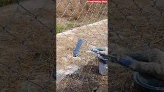 Chain Link Fence Painting (Jaali paint )Asian Paints | Epoxy Paint #asianpaints #chainlink #shorts