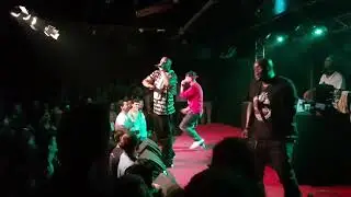 CunninLynguists - Beautiful Girl (Live Paris 2017)