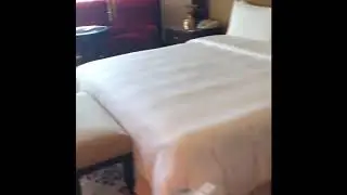 Housekeeping | Spring cleaning | Hotel | Executive Housekeeper daily Life