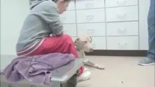Life Without the Humane Society of Genesee County
