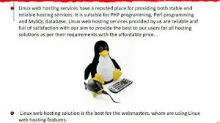 professional web design agency auckland