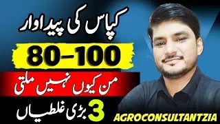 Latest Early Cotton Production Technology 2025.