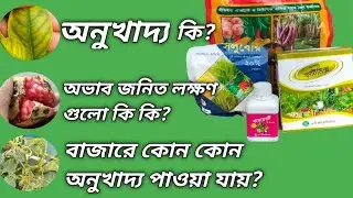 অনুখাদ্য কি?কেন,কিভাবে গাছে প্রয়োগ করতে হবে? বাজারে কিধরনের অনুখাদ্য পাওয়া যায়? নগর কৃষি।