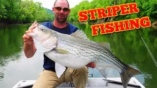 DO BIG BAITS CATCH BIG FISH!?!?