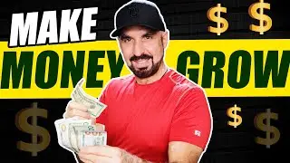 Investment Basics For Music Artists - Grow Your Money