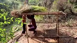 Primitive Life in Forest || Build Wood Bed Shed for Primitive Life
