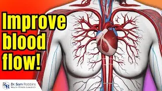 Most Effective Supplements That Increase Blood Flow to Whole Body & Penis