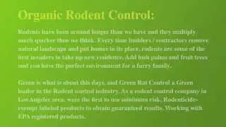 Rodent Control Los Angeles | Rodent Removal Company Los Angeles