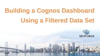 Filtered Data Set to Build a Cognos Dashboard