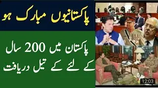 Pakistan have discovered Oil,Gas For 200 Years |Ary Sabir Shakir | Breaking News