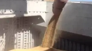 Крупнейшее грузовое судно, когда-либо загруженное во внешней гавани Грейт-Ярмута