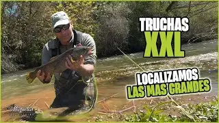 JORNADA de TRUCHAS XXL. Localizamos a las mas grandes 2024.