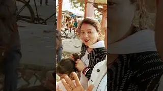 🥰Bhabhi Ko Beer Chahiye 😱😁😜#shorts #youtubeshorts #funny #funnyvideo #shortsfeed #minivlog #vlog