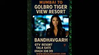 Mumbai to Bandhavgarh Tour Package 🐅 | Distance, Route, Jungle Safari,Night Safari & Best GTV Resort