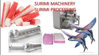 SURIMI PROCESSING - SURIMI EQUIPMENT