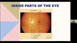 How to Detect an Eye Emergency - Dr. Mona Kaleem - Prevention of Blindness Society #LoveYourEyesDMV