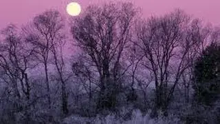 Full Moon Love Letter to the Earth
