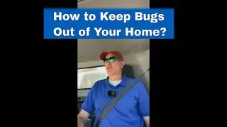 How to keep bugs out of your home