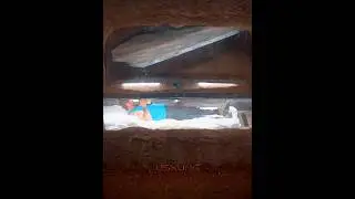 Mr Beast's contestant buried alive to win $400K #shorts