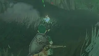 BotW Blupee