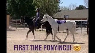 Ponying A Horse | Echo & Sterling's | First-Time