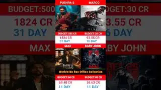 Pushpa 2 🆚 Marco 🆚 Max 🆚 Baby John Movie Box Office Collection Comparison #shorts #pushpa2 #marco