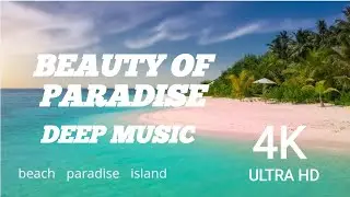 Beauty of paradise Island soft piano music with wave sound deep sleep