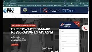 Pro Dry Online Audit Update | Peterson SEO