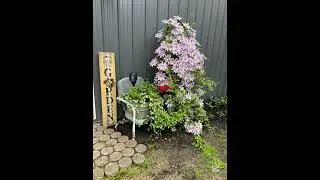 Most Creative Garden Design Ideas |  Garden Design 2026 | Gardening Tips 