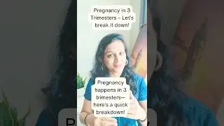 Pregnancy in 3 Trimesters Explained  🤰✨ #ytshorts #Shorts