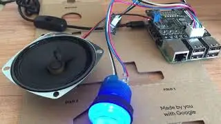 Google AIY KIT testing