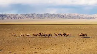 MONGOLIA | Cinematic Nature Video | 4K