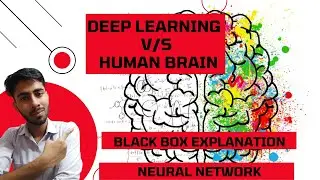 0) Human Brain v/s Deep Learning| Introduction to Neural Networks| Black Box & Neural Network[Hindi]