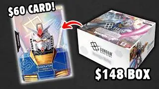 Is $148 Newtype Rising Box Really Worth $148? (EV Analysis)