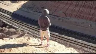 The Desert Flourisher