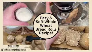 The Softest Whole Wheat Bread Rolls Recipe Ever!