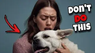 14 Things Dogs Hate That Humans Do