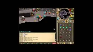daminikiwis first trollbotting vid