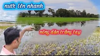 The water rose quickly: 