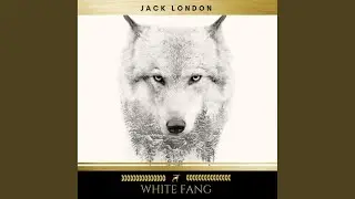 Chapter 67 - White Fang
