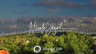 Healing Horizon | Sound Journey for Nervous System Renewal