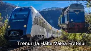 Trenuri la Halta Valea Fratelui/Trains at Valea Fratelui stop. 