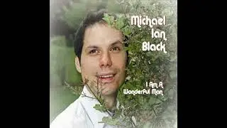 I Am a Wonderful Man - Michael Ian Black