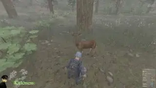Deer Trees in the Badwater Canyon - Test Server
